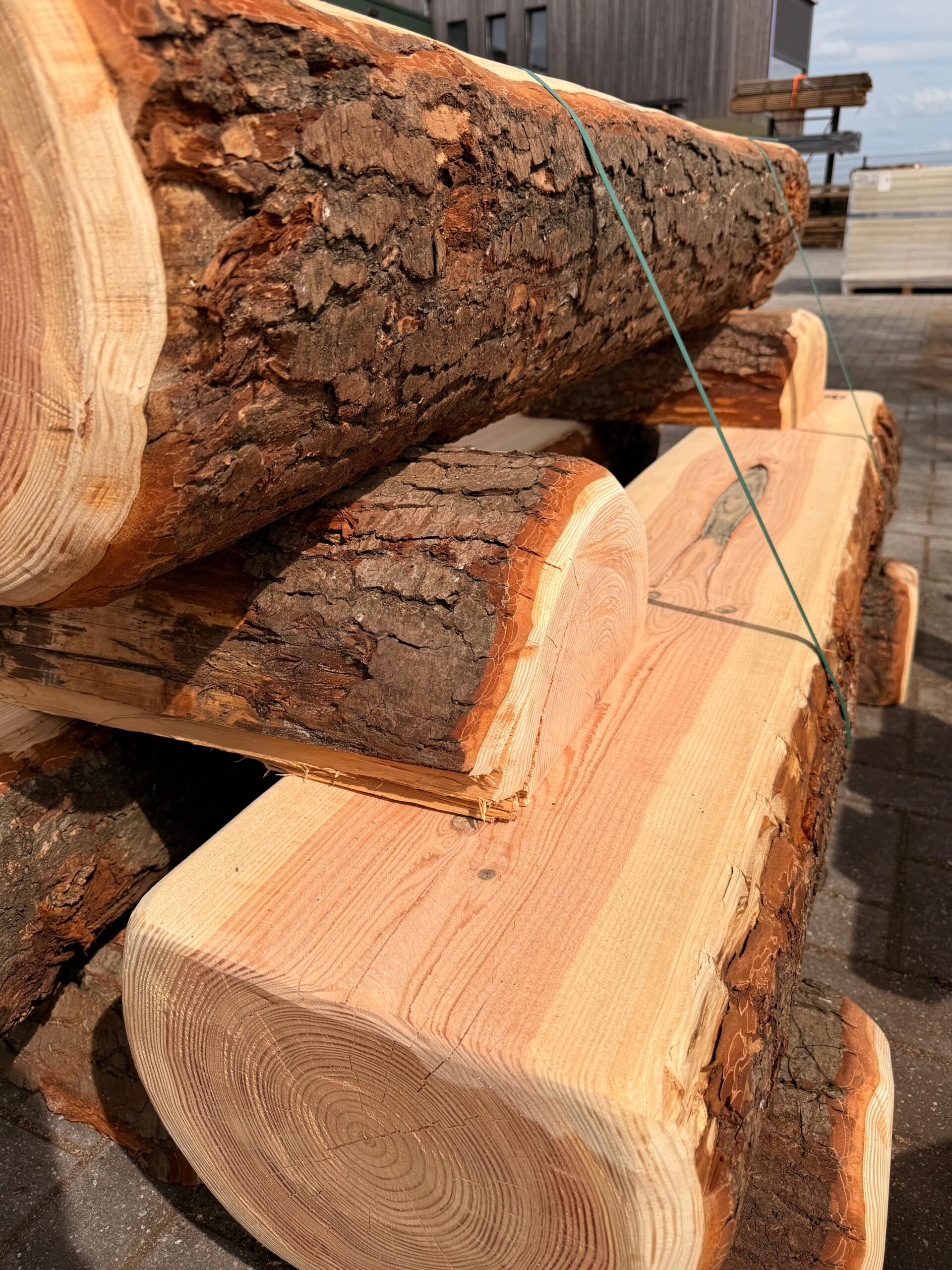 Bank halve boomstam - Afbeelding 2